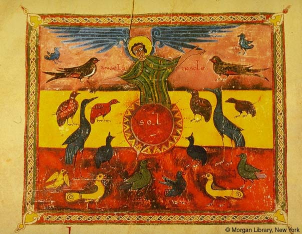 Manuscript illumination depicting angel with halo standing on sun and speaking to eighteen birds; all figures within ornamented frame.
