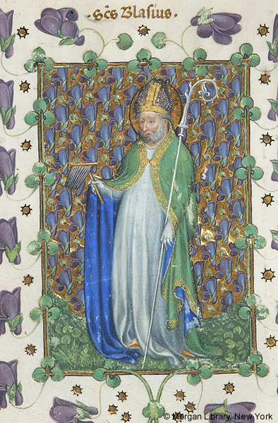 Manuscript detail of a man, wearing a halo and bishop's vestments, including a gold-trimmed miter and green cope with blue lining, standing and holding wool comb and crozier against a gold background filled with purple pea blossoms which billow into the margins. Above in margin is a Latin inscription in gold of the saint’s name SANCTUS BLASIUS.