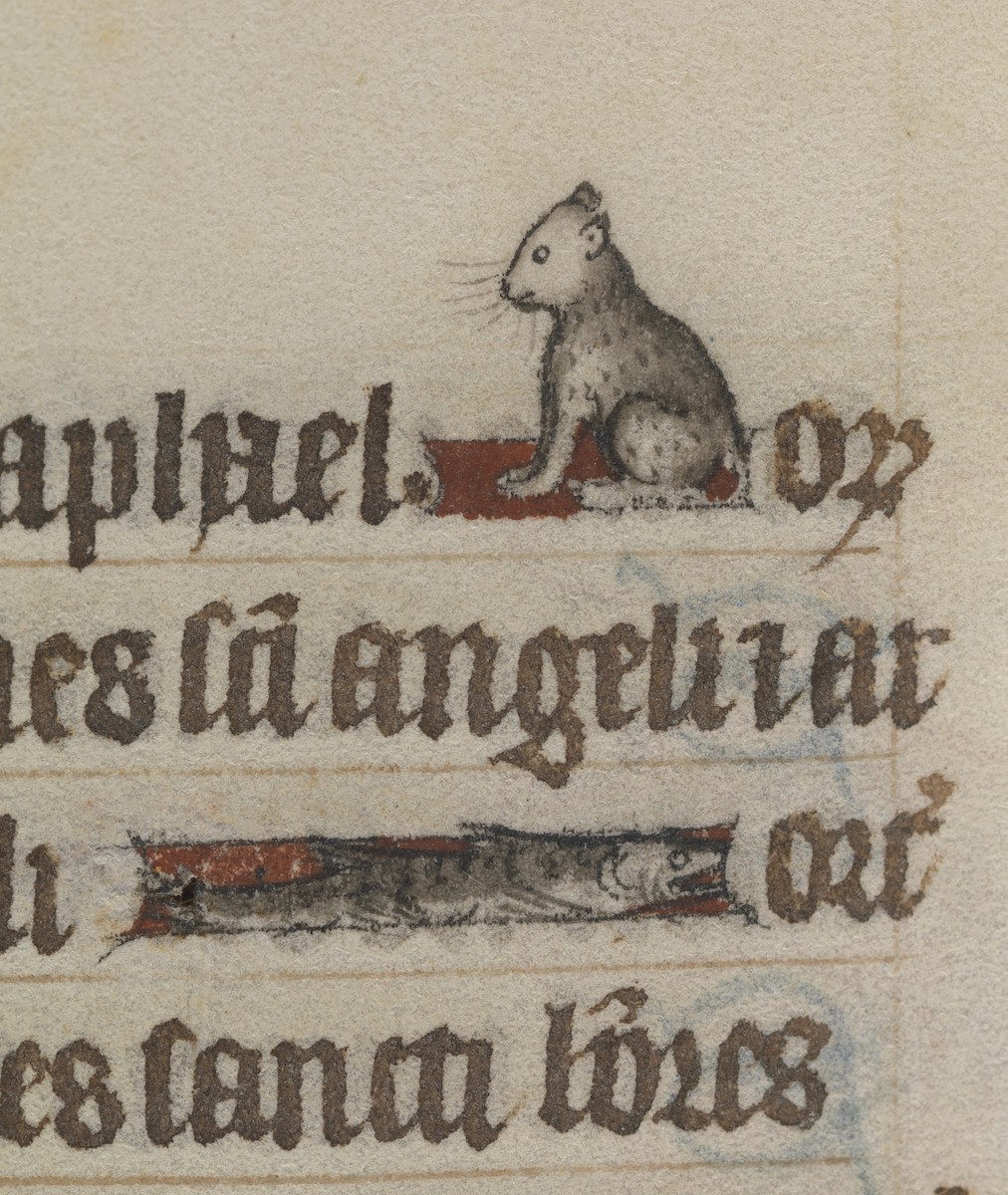 A close-up of a page of written text, interspersed with a seated cat and a fish.