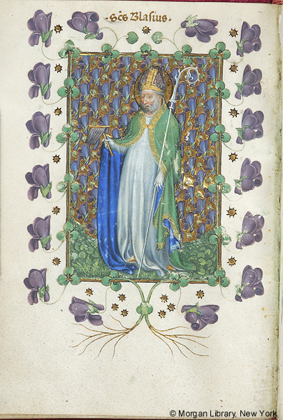 Whole page of manuscript depicting a man, wearing a halo and bishop's vestments, including a gold-trimmed miter and green cope with blue lining, standing and holding wool comb and crozier against a gold background filled with purple pea blossoms billowing into the margins. Above in margin is a Latin inscription in gold of the saint’s name SANCTUS BLASIUS.
