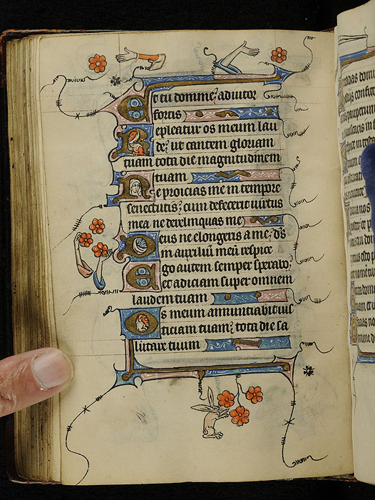 A photo of a full-page folio in a manuscript that contains Latin text, ornamental initials, and flowers, disembodied arms, and a rabbit in the margins.