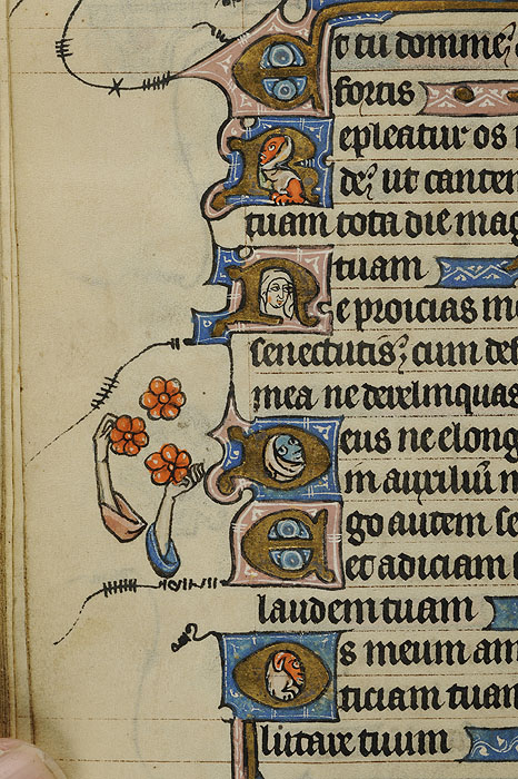 A photo of a detail of the decorated initials and disembodied arms and flowers that ornament the margins of a folio from an illuminated manuscript.