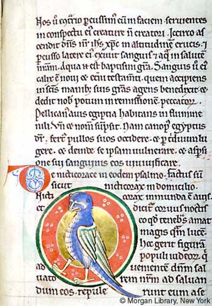 Entire manuscript folio with lower left side  containing decorated red and gold medallion enclosing bird with green and blue feathers, next to text.