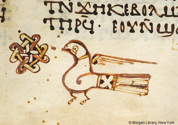Detail of a manuscript page with a drawing of a dove pecking at an interlace decoration, beneath Coptic writing.
