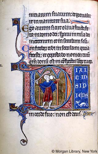 Whole manuscript page decorated with pink and blue initial D enclosing bald man raising club and round, white loaf between columns, gold background. Latin text above and to the right and below, decorated with lined ending ornament of white dragon in profile.