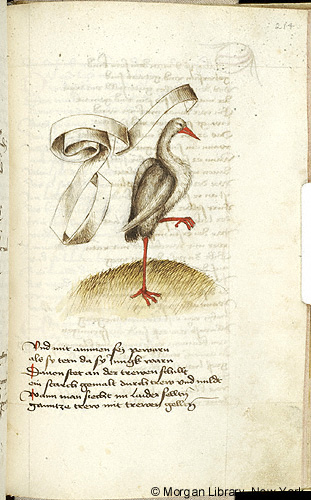A manuscript page with a banderole beside a stork standing on one leg above several lines of text.