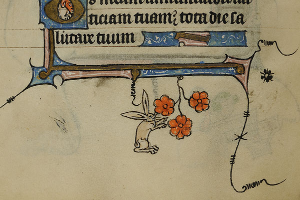 A photo of a detail of a rabbit picking flowers that ornaments the margins of a folio from an illuminated manuscript.