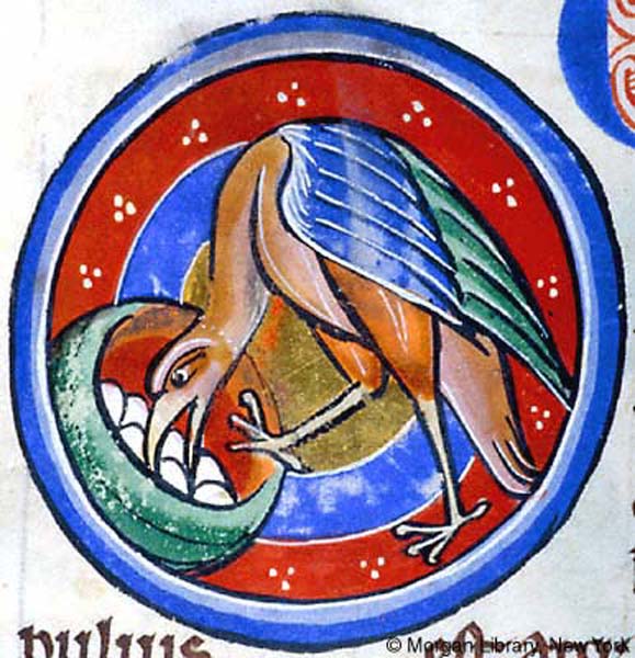 A manuscript medallion detail depicting a partridge with colorful wings bending over into nest filled with eggs. Medallion frame in red and blue.