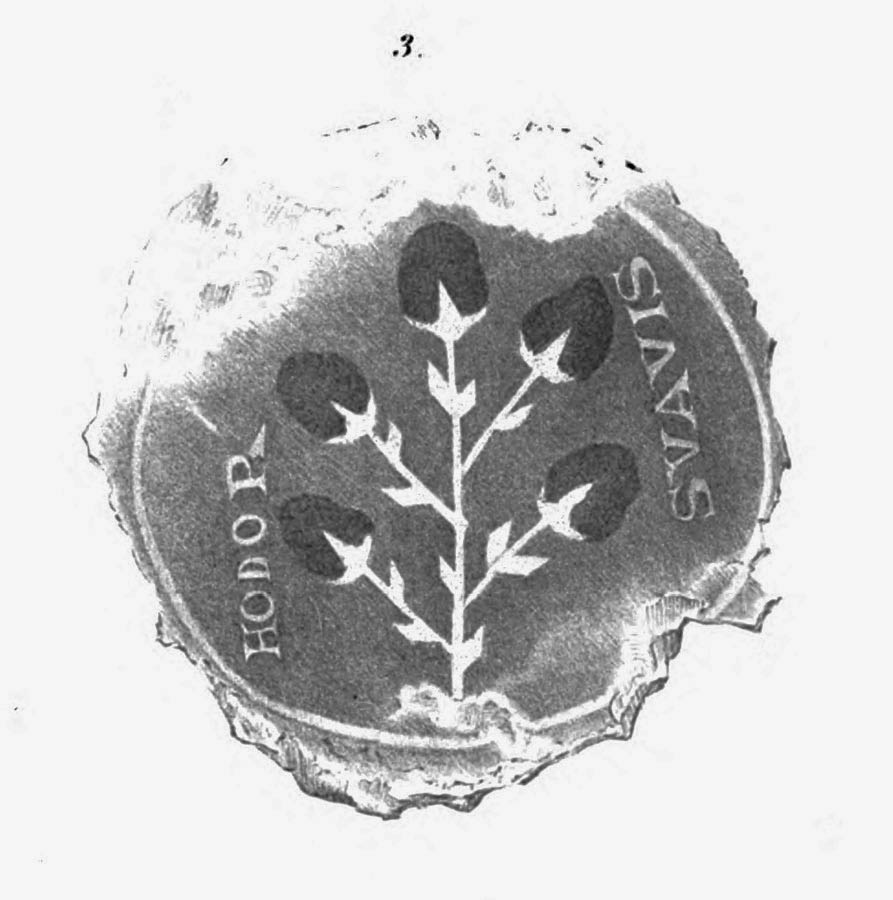 In an engraving of a badly damaged piece of gold glass, a plant bearing flowers or fruit.